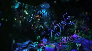 [4K 60FPS] 20,000 Leagues Under the Sea Ride-through TRUE LOW LIGHT - Tokyo DisneySea