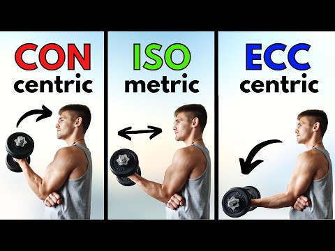 3 Different Types of Muscle Contractions | 𝐕𝐈𝐓𝐀𝐋𝐈𝐓𝐘