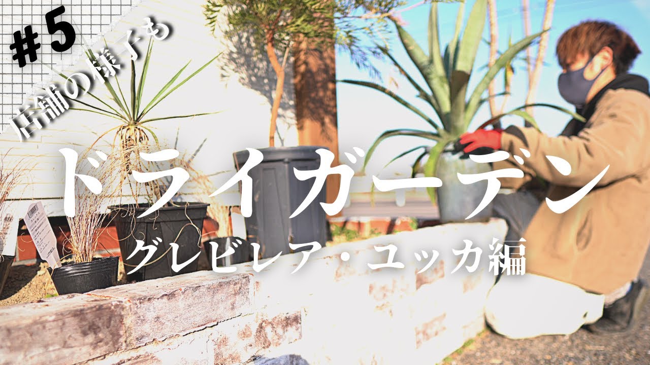 #5ドライガーデンの続き【1から始まる花屋の物語】