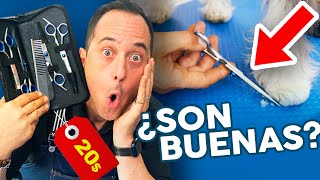 ¡FUNCIONAN!Las TIJERAS más baratas para CORTAR EL PELO a tu perro en casa o en PELUQUERÍA CANINA