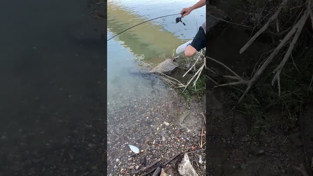 Рыбалка в Сербии           