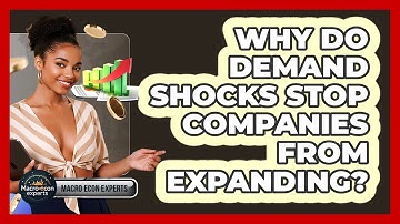Why Do Demand Shocks Stop Companies From Expanding? - Macroecon Experts