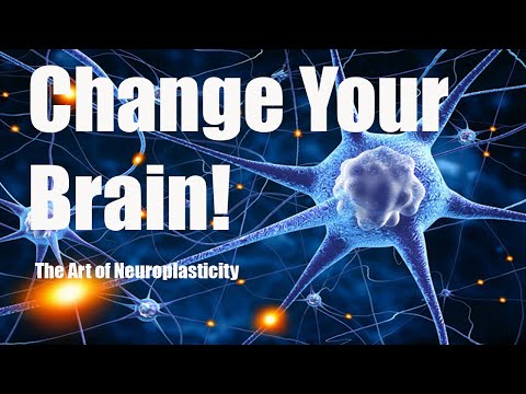 What is Neuroplasticity?