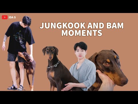 Jungkook and Bam moments
