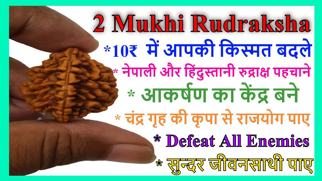 Mukhi Rudraksha Benefits Dwimukhi Rudraksha How Who Should 59 OFF mukhi-rudraksha-benefits-dwimukhi-rudraksha-how-who-should-59-off