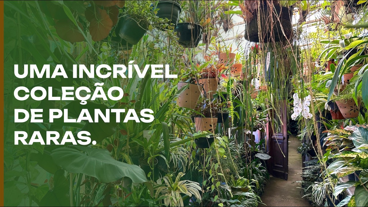 Удивительная коллекция доктора Рикардо: Estoril Plantas.