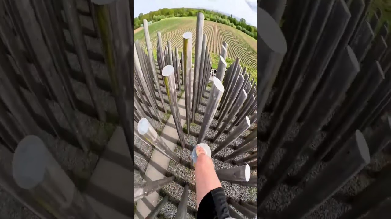 Follow Accejayyy If You Let The Sink In - YouTube Auto PHP Script