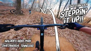 Biking Tennessee's Newest Bike Park | Walden's Ridge by Dusty Trails MTB 746 views 1 month ago 14 minutes, 29 seconds