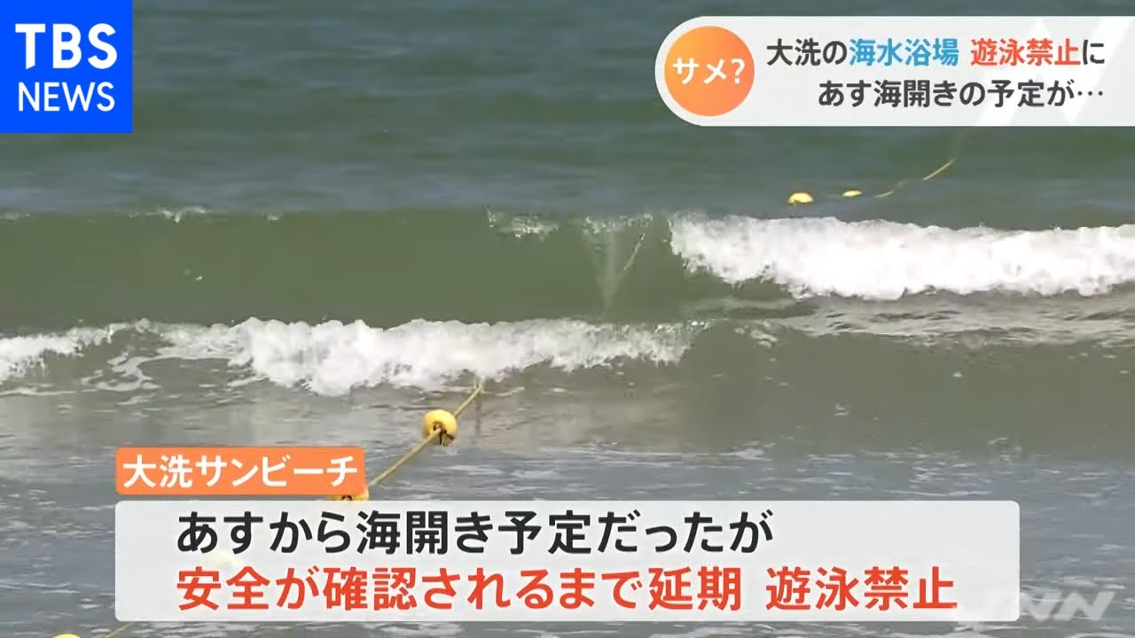 茨城 大洗海水浴場が遊泳禁止 サメが人襲ったか Youtube