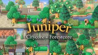 I finally finished my two-theme Animal Crossing island