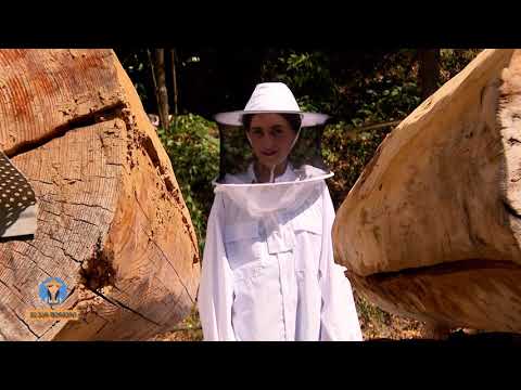 ჯარას საფუტკრე