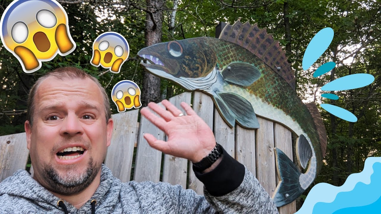 Grundy Lake Provincial Park Your Ultimate Ontario Outdoor Adventure