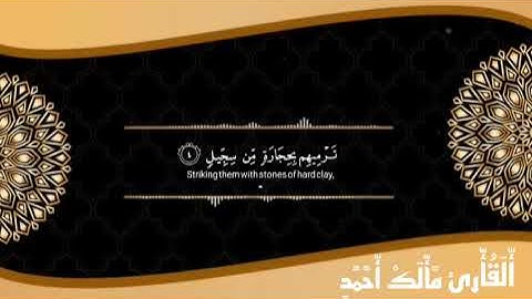 سورة الفيل بصوت القارئ مالك أحمد