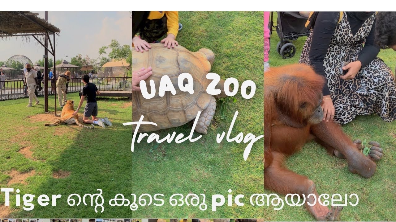 uaq-zoo-zoo-zoo-in-umm-al-quwain-uae-can