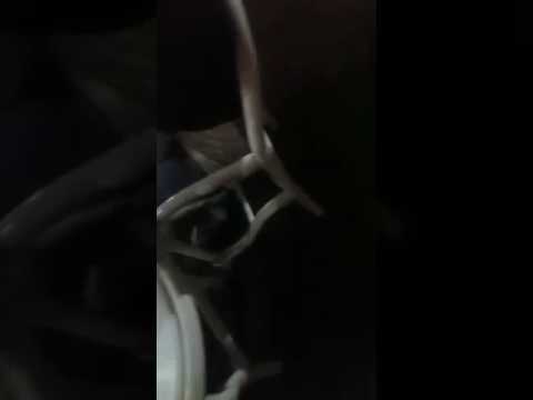 Sheb Hicham Bahri Malgri Tfar9na 