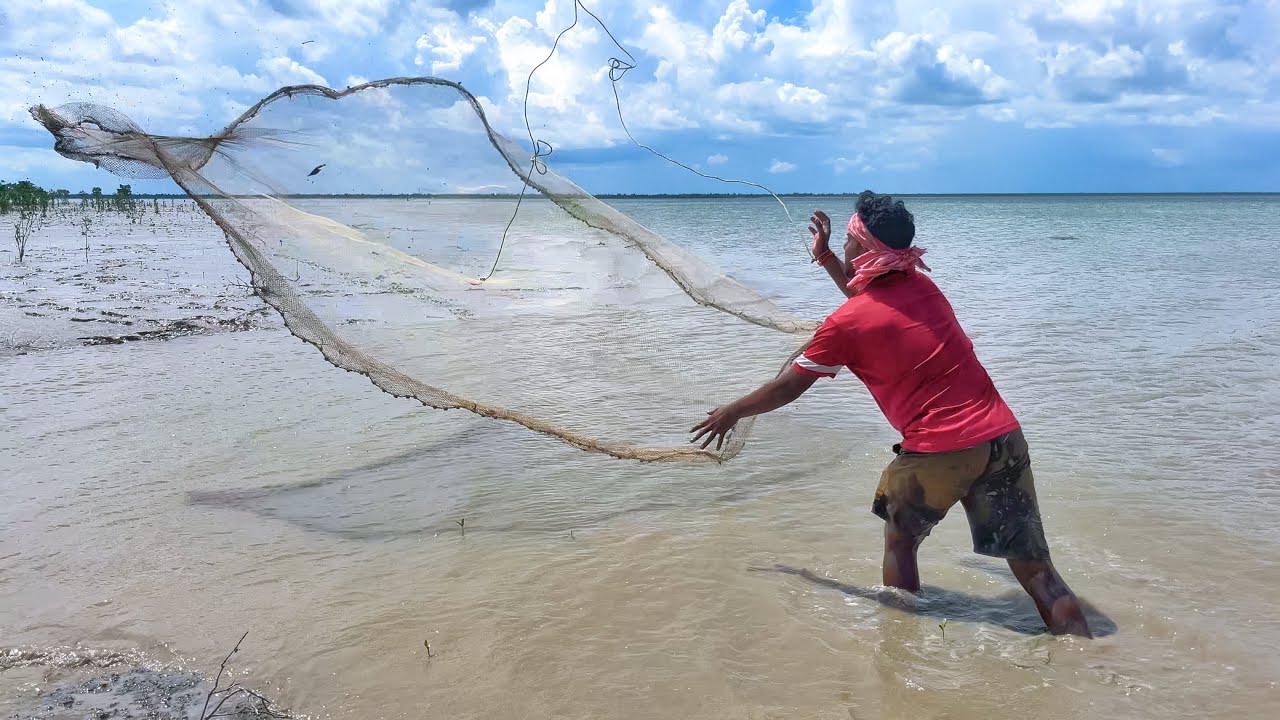 হাতজাল ফেলে দ্বিতীয় ক্ষেপের চার ধরলাম 2 kg ছেলে মাছ নদীতে রান্না করে খেলাম !!! part-2
