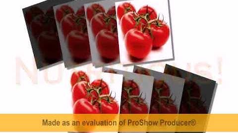 PROSHOW PRODUCER WORKSHOP OUTPUT