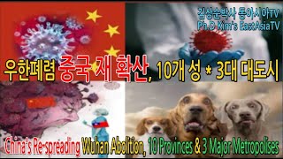 China's 10 provinces and 3 major cities re-dispersion? 우한폐렴 중국 10개 성 3대 도시 재확산? #우한폐렴추천(72) 20201111