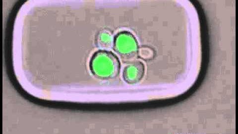 Monitoring yeast aging by microfluidic dissection
