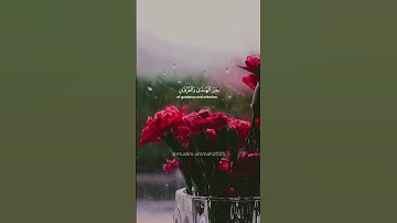 القرأن | شهر رمضان الذي انزل فيه القرآن [البقرة الآية 185] بصوت عبد الرحمن مسعد