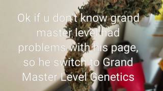 Grand Master Level Genetics
