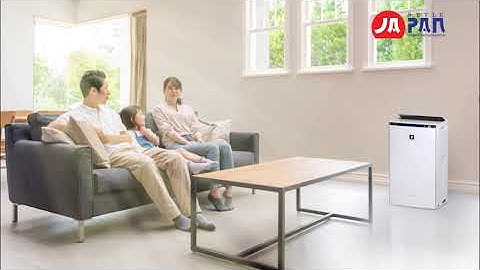 Công nghệ Luồng không khí lưu thông nhanh & hút ngược rộng của máy lọc không khí Sharp KI-PX100 Nhật