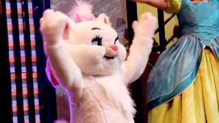 Marie At Dancin With Disney