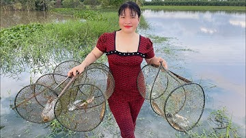 Mùa nước nổi thăm “Lờ cá” dính bầy cá lóc đồng về nướng chui 