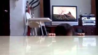 1000210_April躲貓貓.wmv
