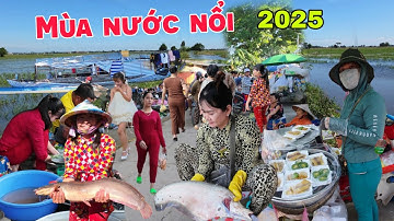 Xuất hiện CÁ KHỦNG THỦY QUÁI mùa nước nổi chợ Kênh 7 Xã quá rẻ