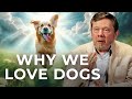 Eckhart Tolle on Dogs: A Life Beyond Ego