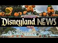 Disneyland NEWS! October 2023 | Punches, Payouts, Promos &amp; Closures!