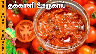 தக்காளி ஊறுகாய் | Thakkali Oorugai in Tamil | Tomato Pickle Recipe in Tamil (Rajamani Samayal)