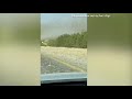 Swarm of locusts invades Saudi highway