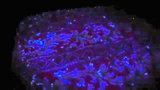 BEST NIGHT EVER Clip 3 HD (TwoMovies.name)