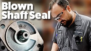 Blown Shaft Seal? Gear Motor Pgm 511