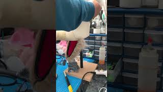 Making a dog Puppet