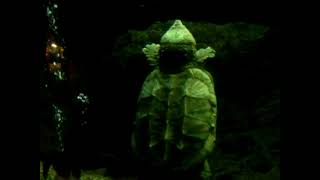 Capone, the alligator snapping turtle at the Cincinnati zoo (2010)