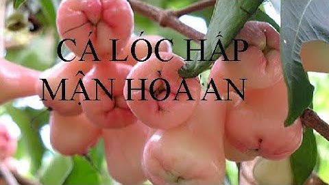 CÁ LÓC HẤP MẬN HÒA AN - MÓN NGON ĐỒNG THÁP (Snakehead fish steamed with plums)