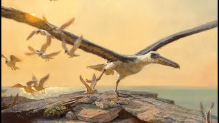 Pelagornithids: The Largest Flying Birds by Dr. Polaris 20,448 views 3 months ago 10 minutes, 48 seconds