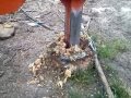 Rotor speedy stump grinder - KATSANIS