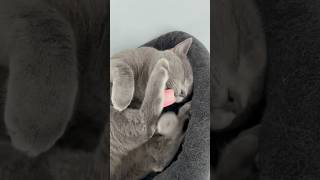 He Did Something Cute