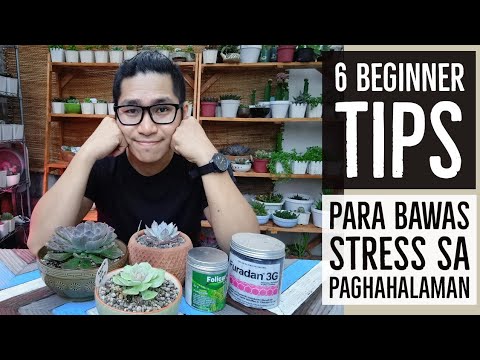 Video: Anong mga pallet ang ligtas gamitin para sa paghahardin?