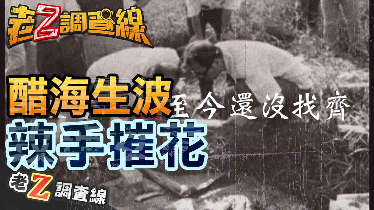 醋海生波 辣手摧花  | 老Z特別版 @ctitalkshow