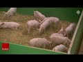 Charlevoix veut être reconnue comme région agricole périphérique