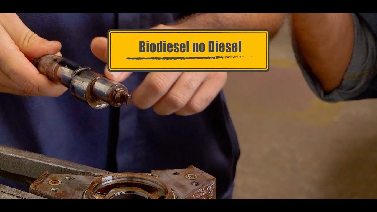 Biodiesel no diesel