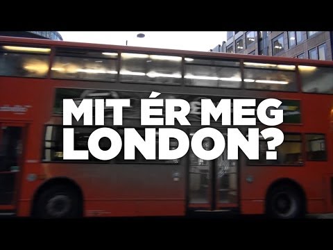 Videó: Juhok Támadják Meg Londonba