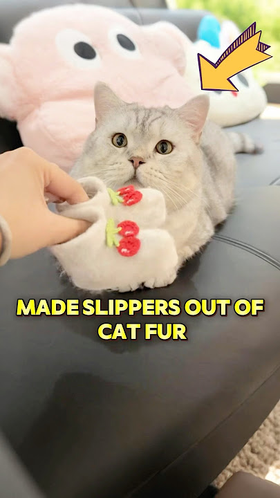 The owner made cat fur products for her baby