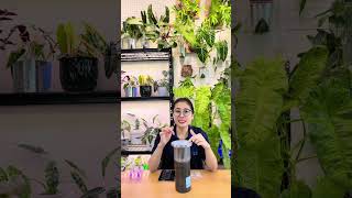 Cách Biến Đèn Quang Hợp Chiếu Gần Thành Đèn Chiếu Xa.