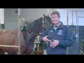 William brings one of his top event horses, Little Fire, back in to work!